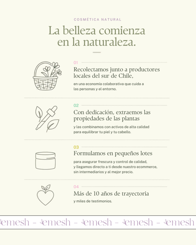 Procesos EMESH